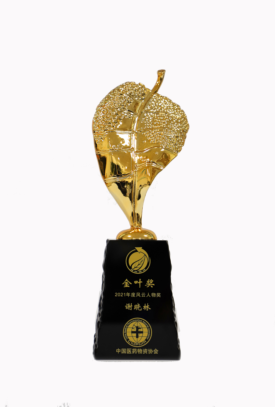 中國醫(yī)藥物資協(xié)會(huì)2021年度風(fēng)云人物獎(jiǎng)（金葉獎(jiǎng)）.jpg